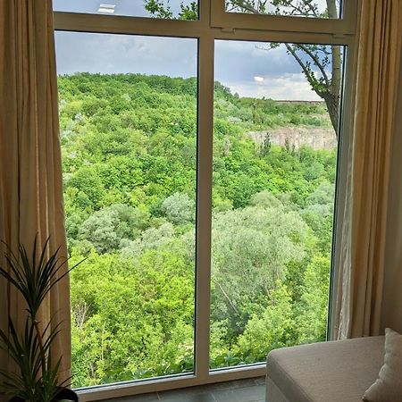 Сottage "Family Estate" Villa Kamenets-Podolsk Eksteriør bilde